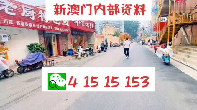 新澳天天開好彩資料大全,實地分析考察數(shù)據(jù)_39