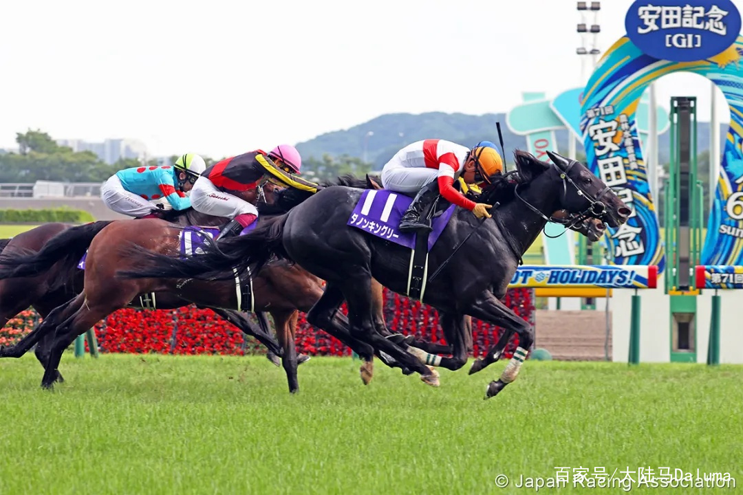 香港特馬資料王中王,綜合數(shù)據(jù)解釋定義_22